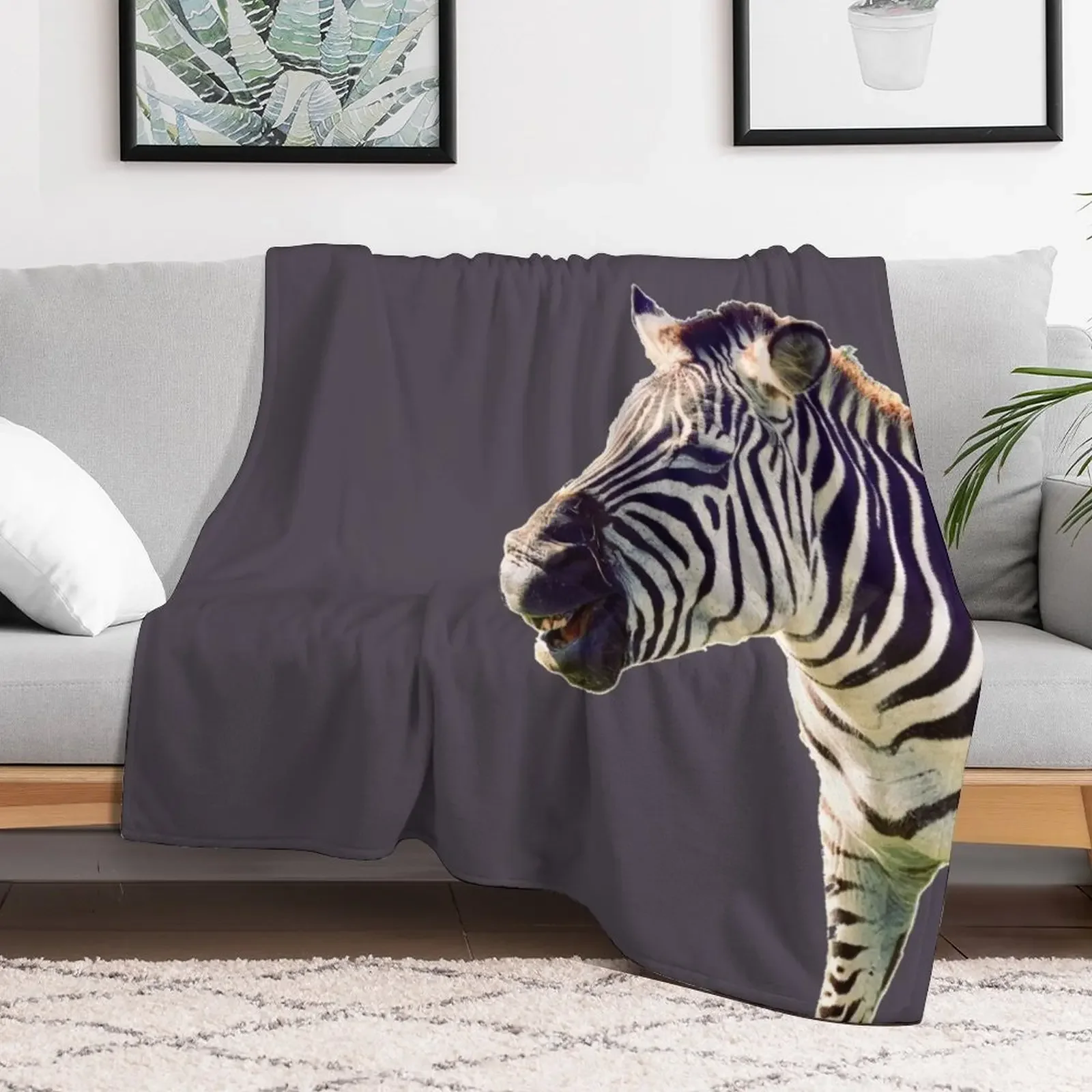 This zebra is having a real laugh Throw Blanket Soft Home Decor Blanket for Couch Bedroom