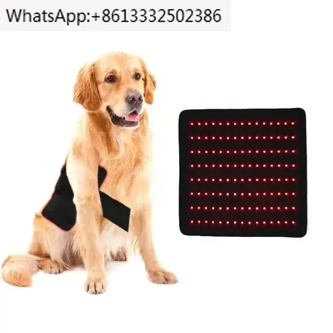 Infrared Red Light Therapy Belt with Timer Wearable Wrap for Pet Animal Back Body - Horse And Pet Care