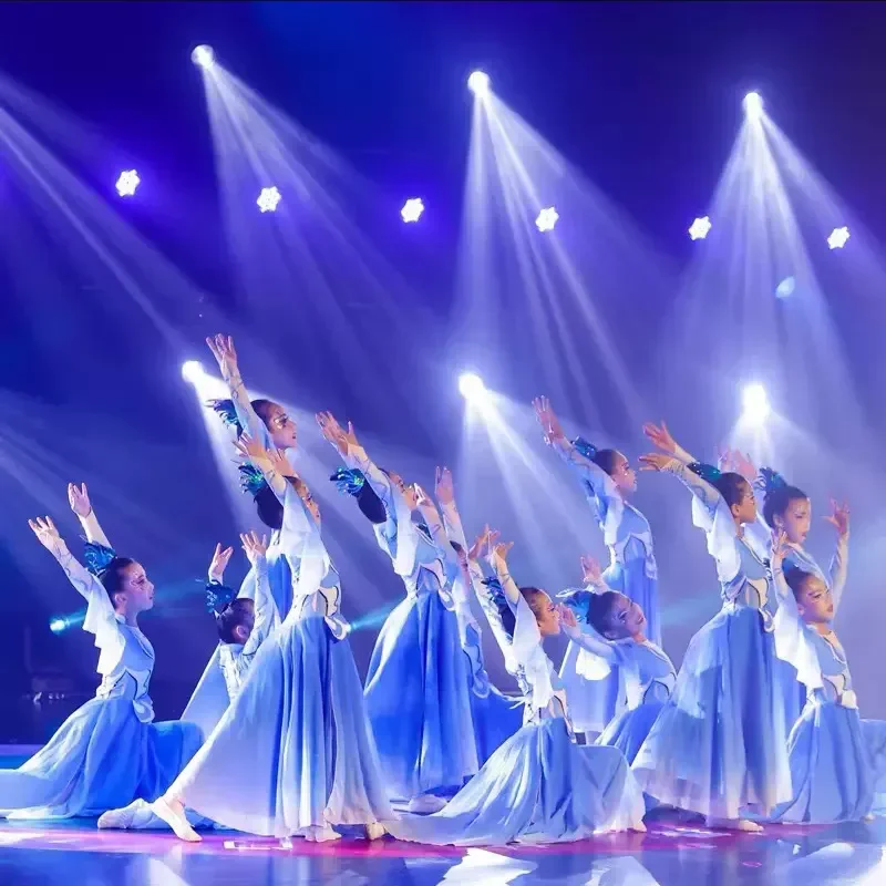 

Performance Costume Classical Dance Art Examination Women's Chorus Elegant Chinese Modern Style Dancing Dress