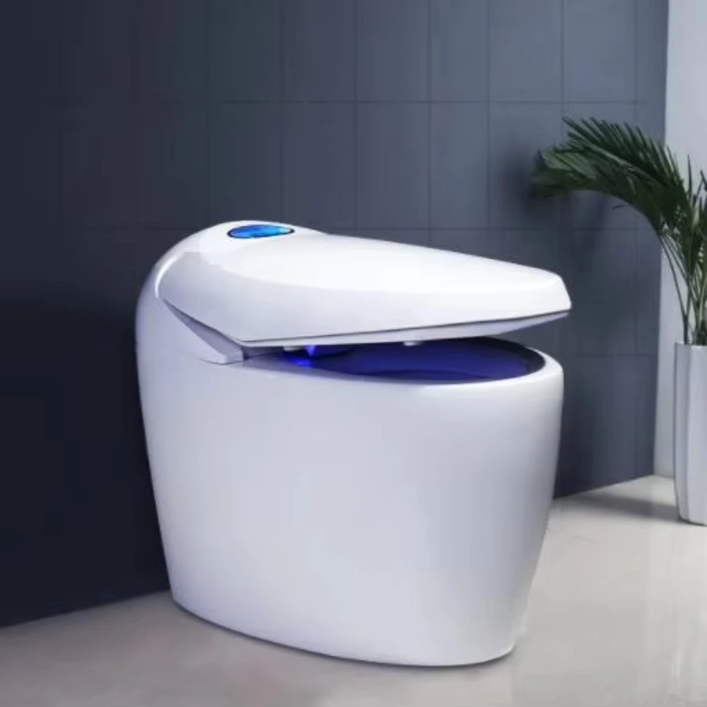 

Newest Bathroom Smart Toilet Electric One Piece Bidet Toilet Automatic Flushing Electric One Intelligent