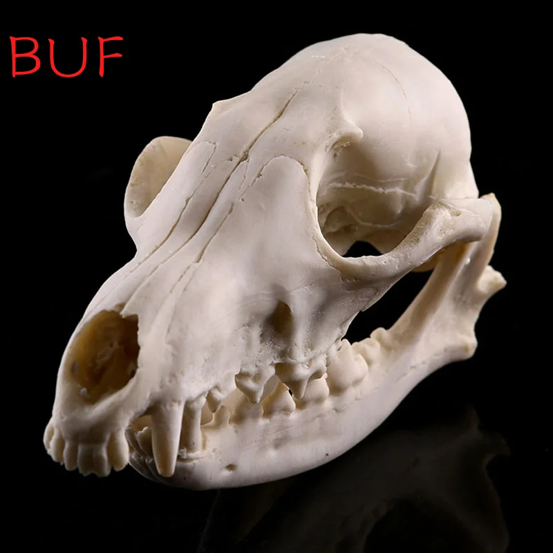 Resin Fox Skull Model Halloween Decoration Animal Skull Statue Creative Bar Decoration Skull Sculpture Skull Head Figurine