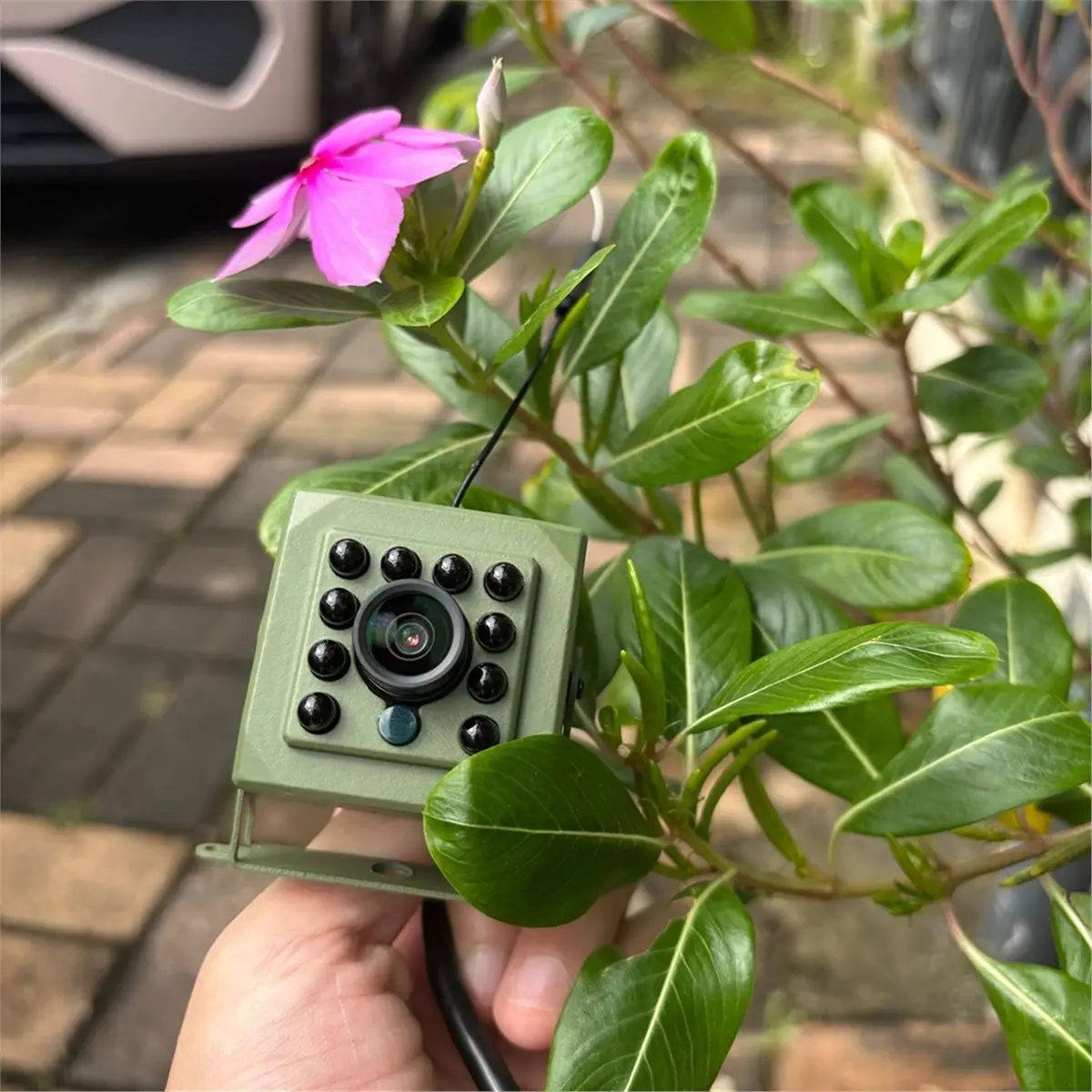 y69a-6mp-tuya-smart-life-bird-watching-camera-ir-cut-wireless-indoor-wifi-birdcage-camera-night-vision-monitor-for-wild-birds