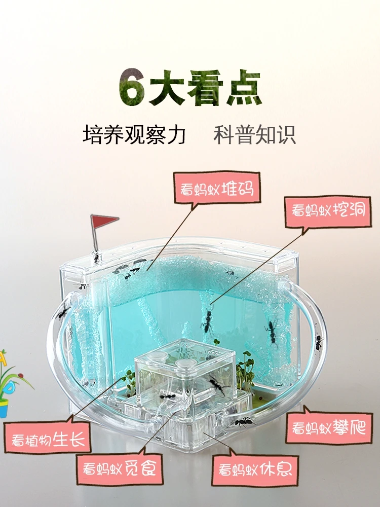 

Ant Workshop, Pet Nest, Ant Villa, Pet Castle, Comfortable and Safe Ant Nest, Can Raise Ants, and Send Live Ants