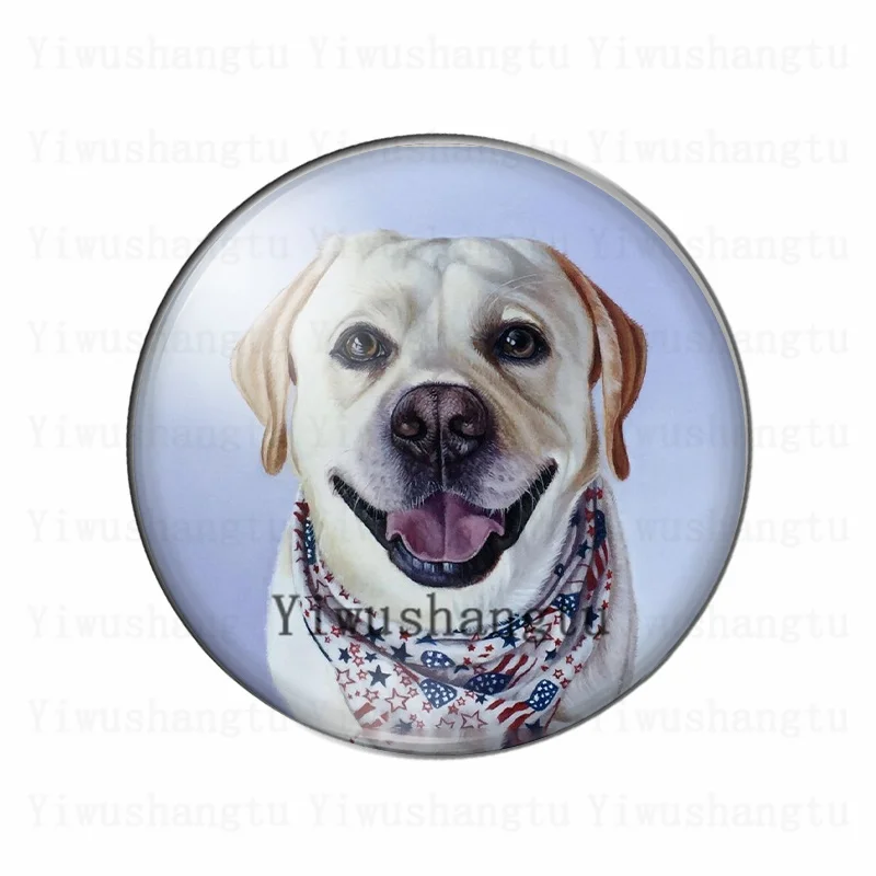 Cabochon animal cute  dog\'s head 12mm/20mm/25mm/30mm Round photo glass cabochon demo flat back Making findings