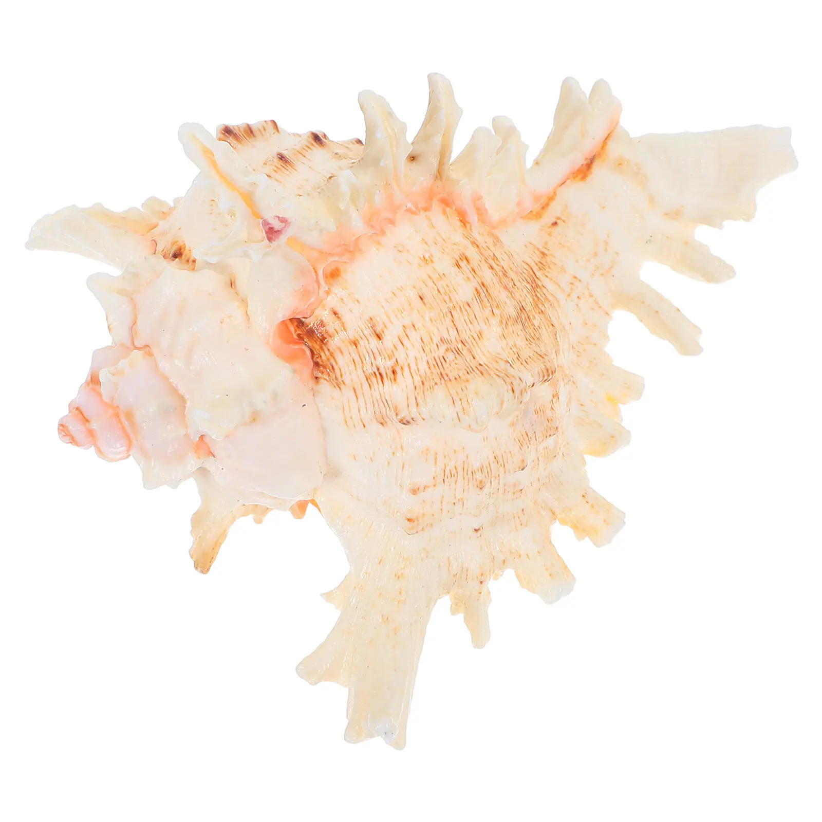 Natural Conch Shell Aquarium Decoration Fish Tank Landscaping Natural Fish Tank Ornament Aquarium Decoration Conch Shell Decor