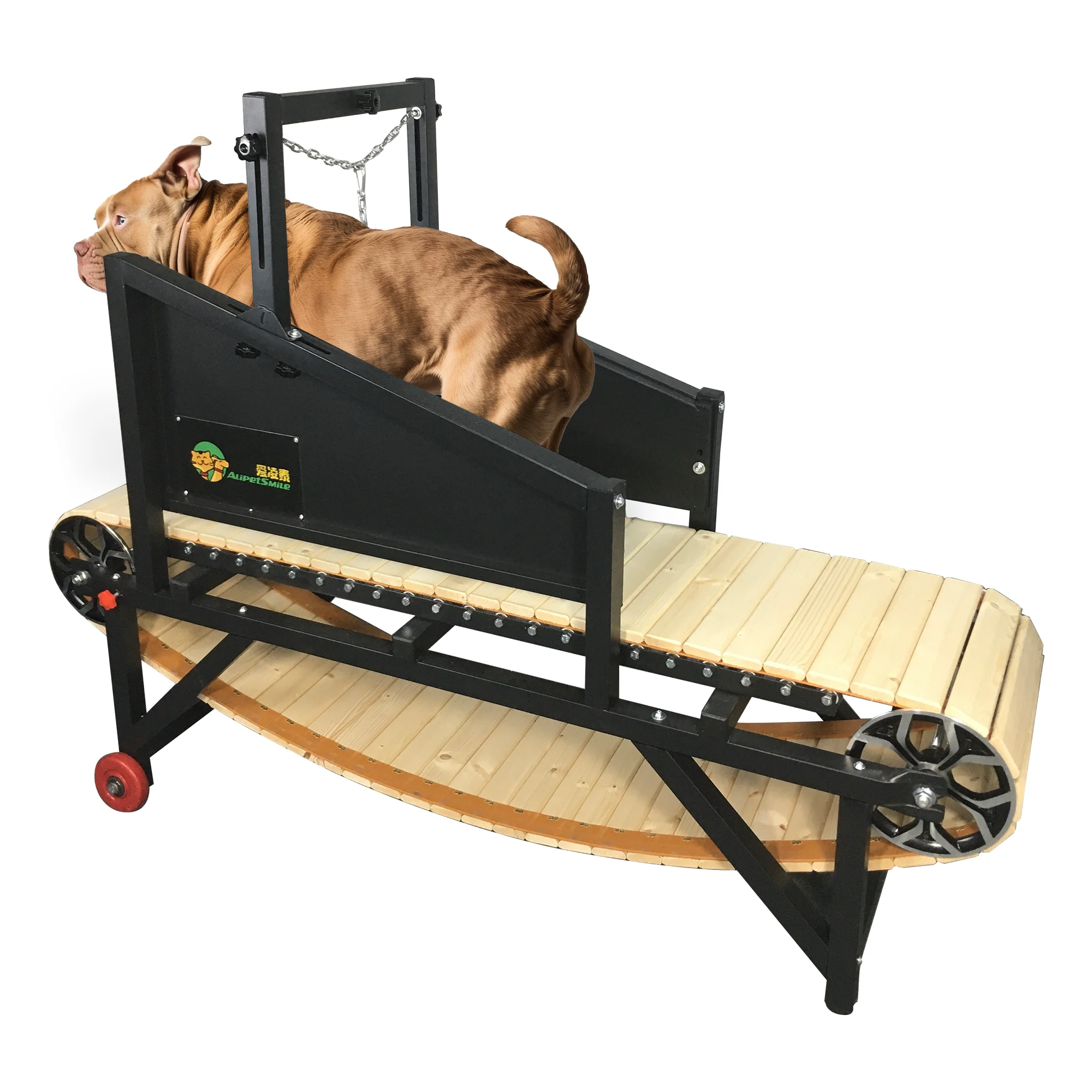 

Dog Flat Treadmill for Training and Fitness - Perfect for All Breeds by AlipetSmile