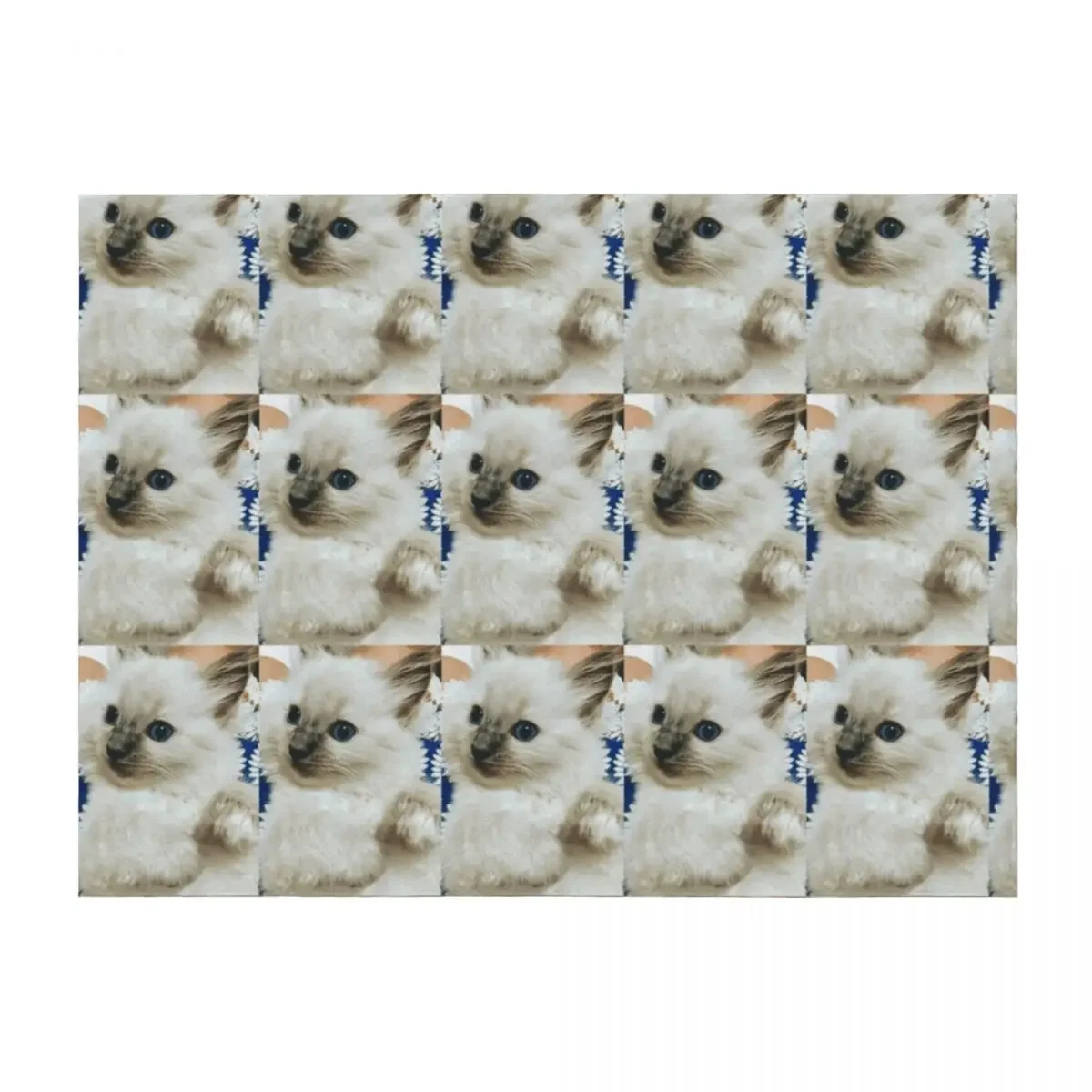 

Ragdoll kitten Throw Blanket Designers Fashion Sofas Stuffeds Thermals For Travel Blankets