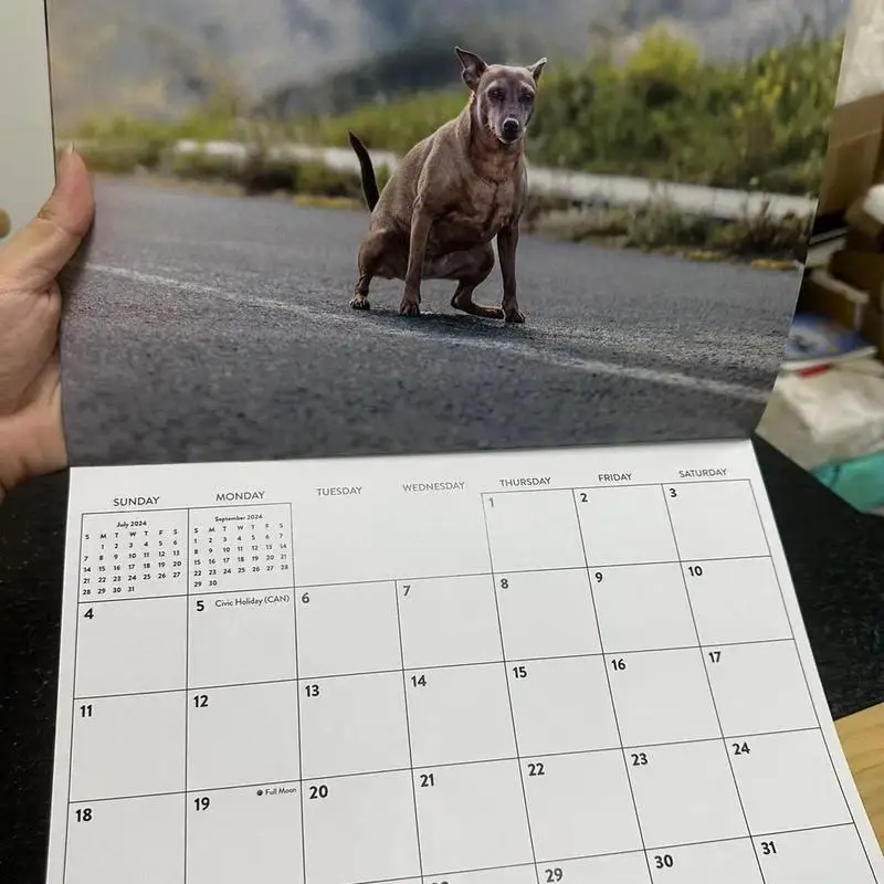 Dogs Pooping Calendar 2024 Cute 2024 Pooping Puppies Monthly Art Calendar Colorful 12 Month Wall Calendar Funny Dog Calendar For