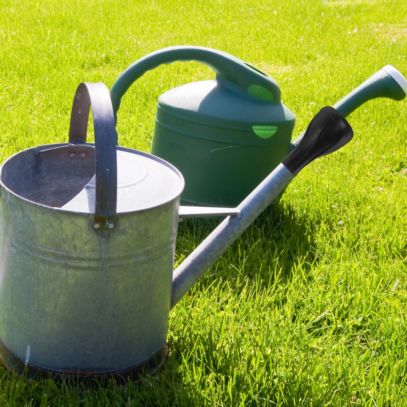 

Watering Can Accessories Golden PP Sprinkler Heads for Plants Garden Use Efficient Spout Bonsai Nozzle Caps Easy Storage