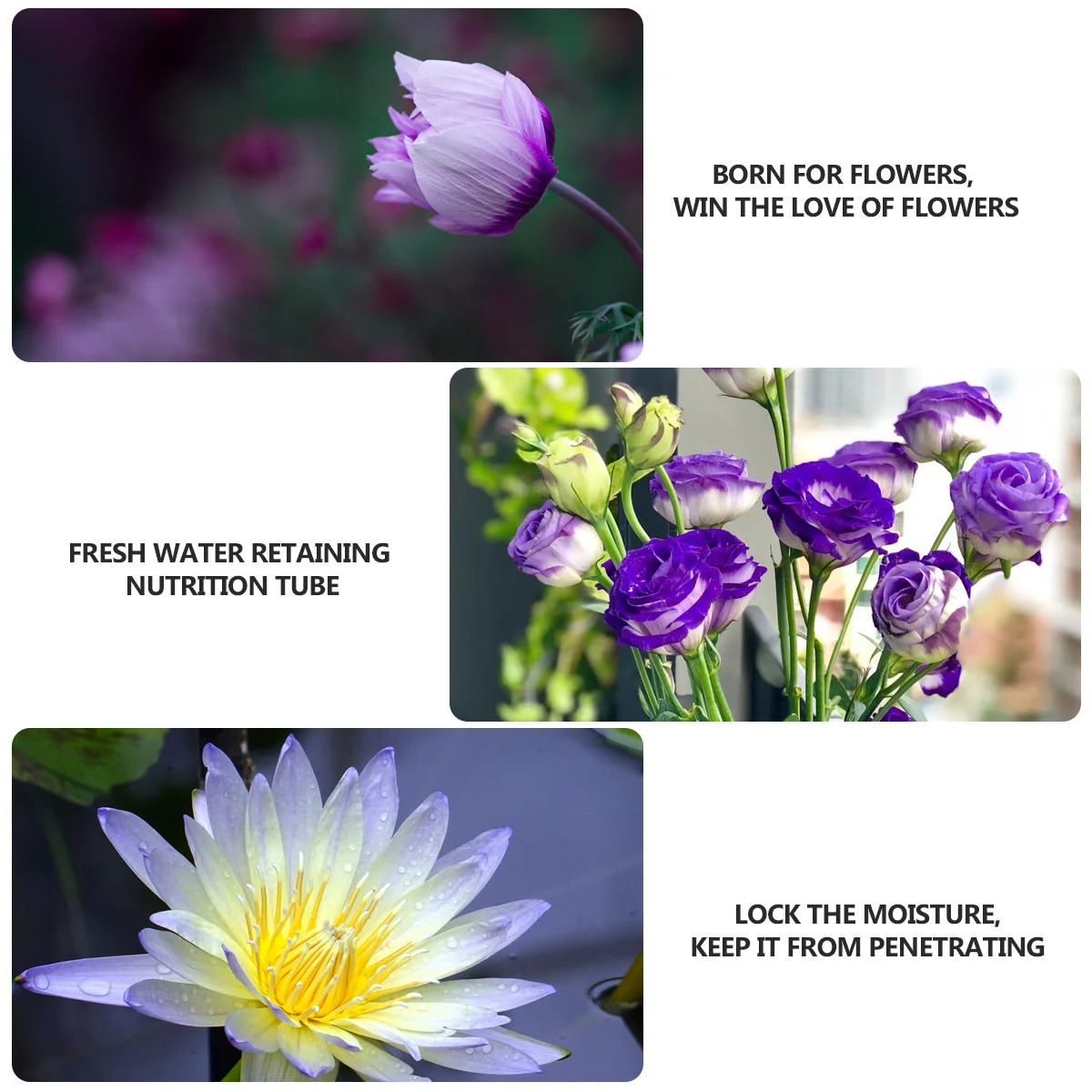 

50Pcs Preservation Flower Tubes Premium Tubes Leak Water Containers Florist Supplies