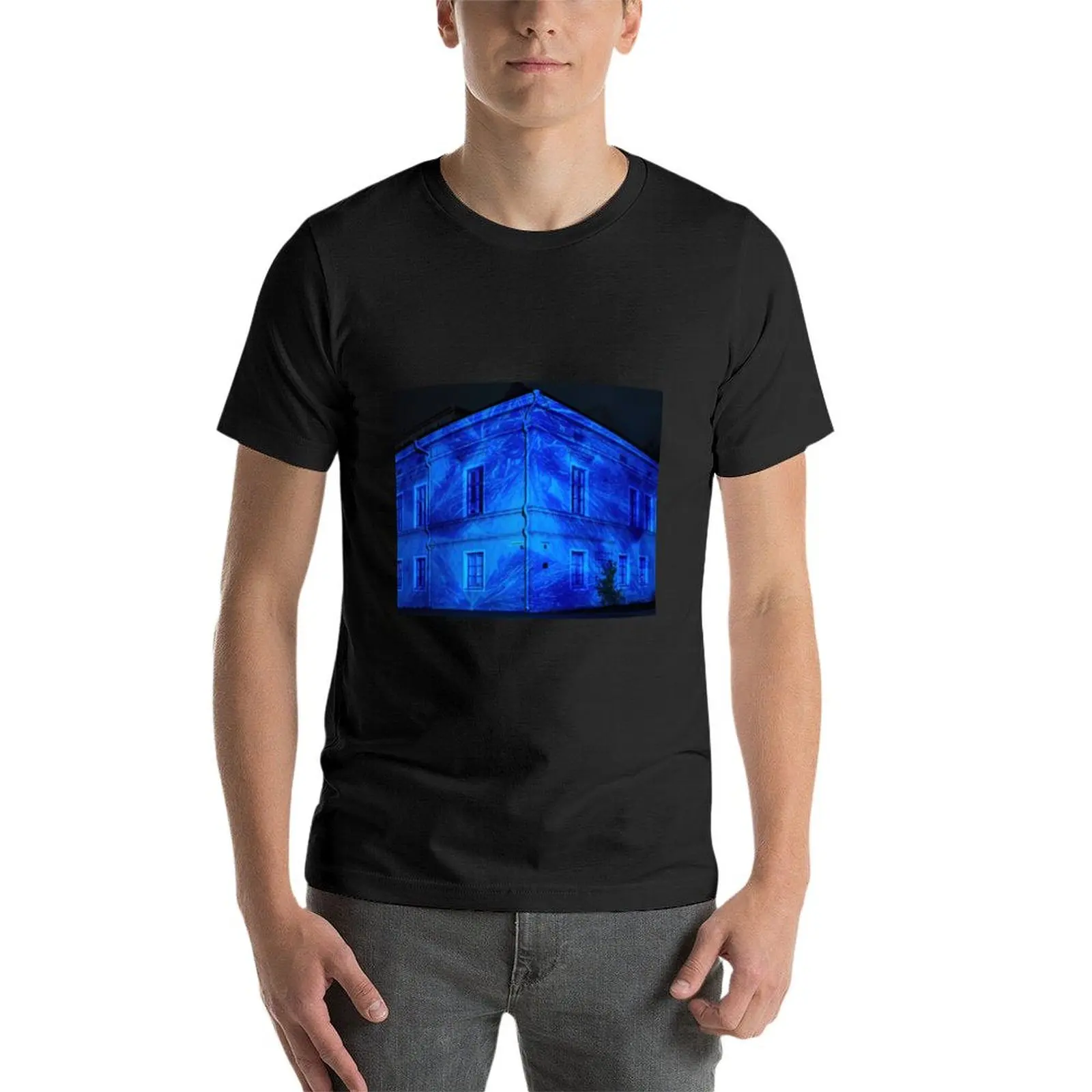 All the patterns of Ice on the wall T-shirt new edition tees heavyweights men t shirts