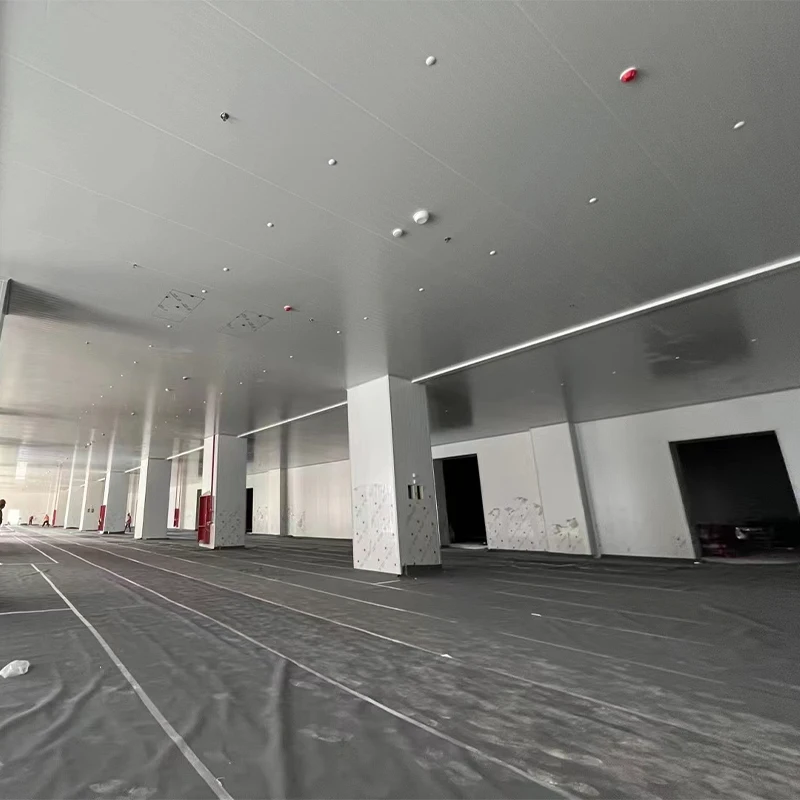 مبرد تخزين بارد تجاري مخصص للمشي في الغرفة لنظام أعمال اللحوم والخضروات والمأكولات البحرية