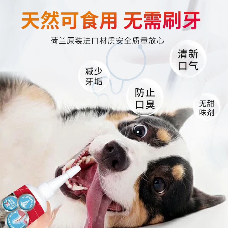 Cats and dogs teeth cleaning gel to remove bad breath pets