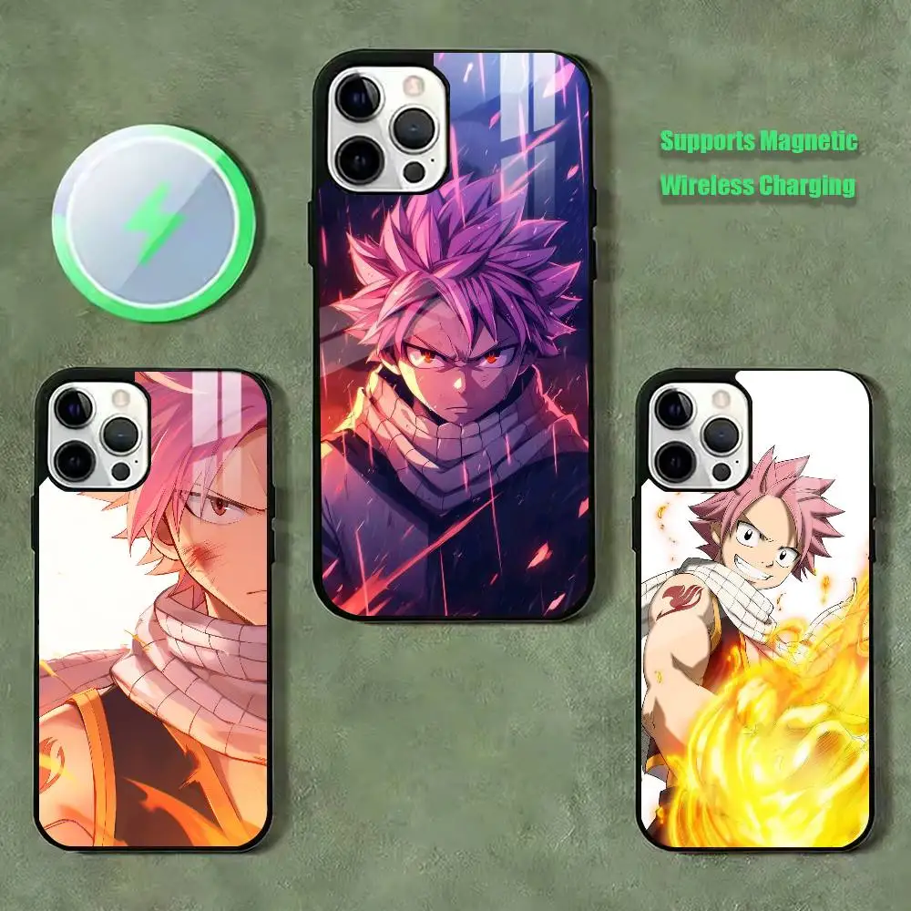 Fairy Tail Natsu  Phone Case For iPhone17,16,15,14,13,12,11 Plus,Pro Allows magnetic wireless charging