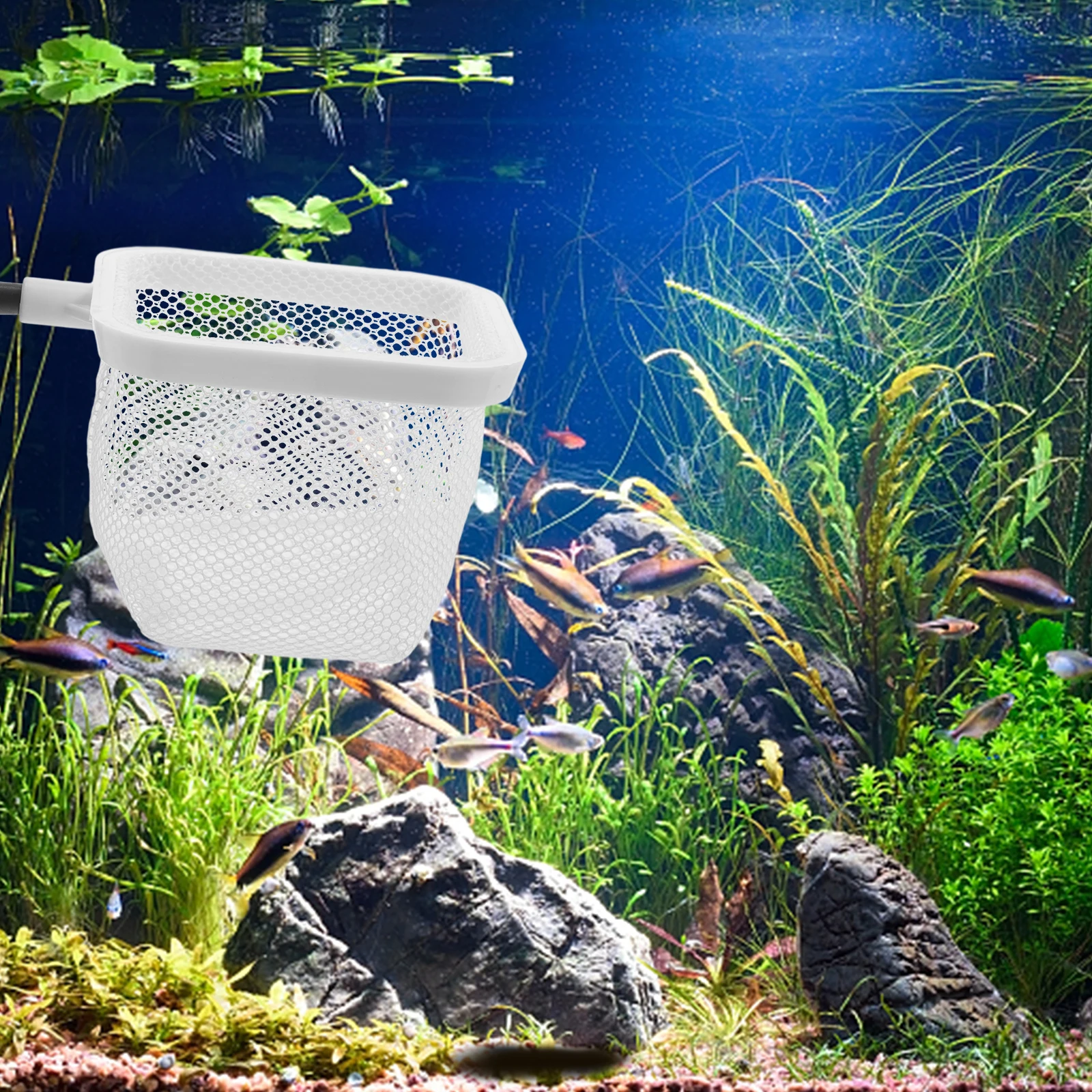 

Fish Tank Isolation Net Board Aquarium Fishing Nets Suction Cups for Network Breeding Cage