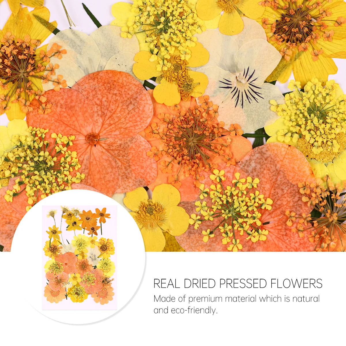 Pacote de material de flores prensadas, 40 peças, flores secas naturais diy para decoração de capa de telefone, flores reais sem desbotamento, suprimentos de artesanato