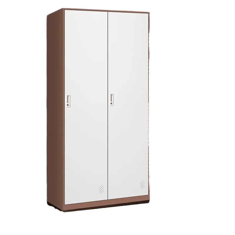 

Modern Steel Wardrobe Home Furniture for Living Room Gym Bedroom Home Office School Use Black Locker Employees Storage Light