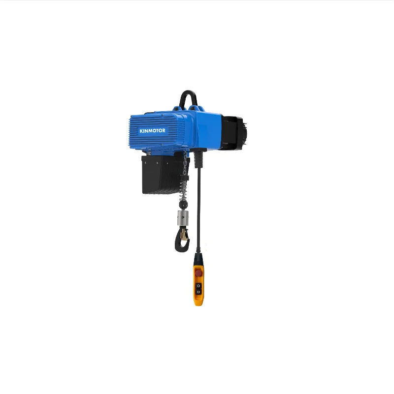 1000kg Lifting Capacity Electric Crane Steel 220v Electric Hoist Electric Hoist Manufacturers  D2 Servo Chain Hoist