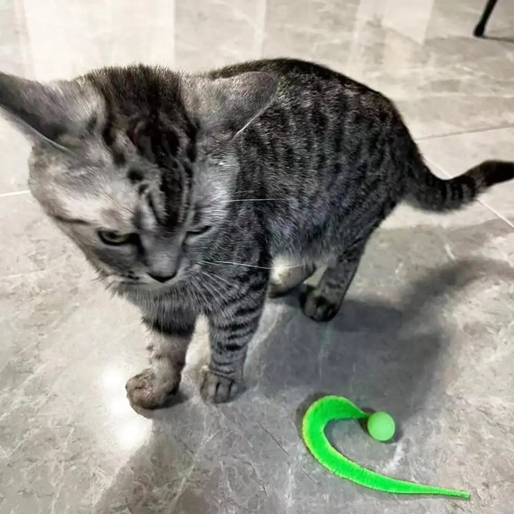 Cat interactive toys Tickle Cat Colorful bouncing ball Pet supplies Puzzle teasing indoor cat worm caterpillar elastic toy
