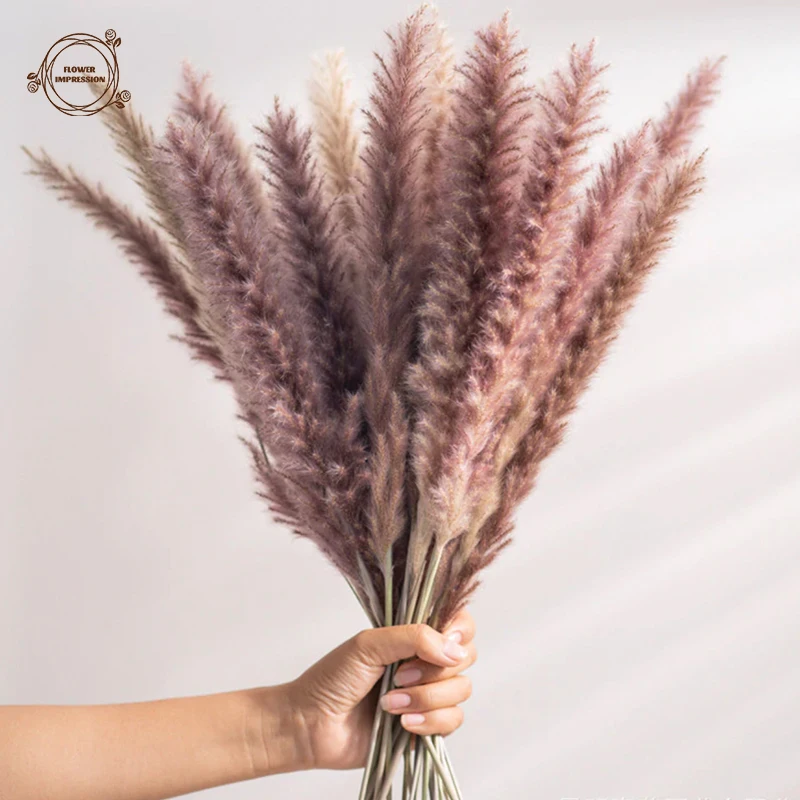 

Natural Pampas Grass Dried Flower Boho Home Decor Wedding Floral Decorations Table Bedroom Decoration Accessories Party Supplies