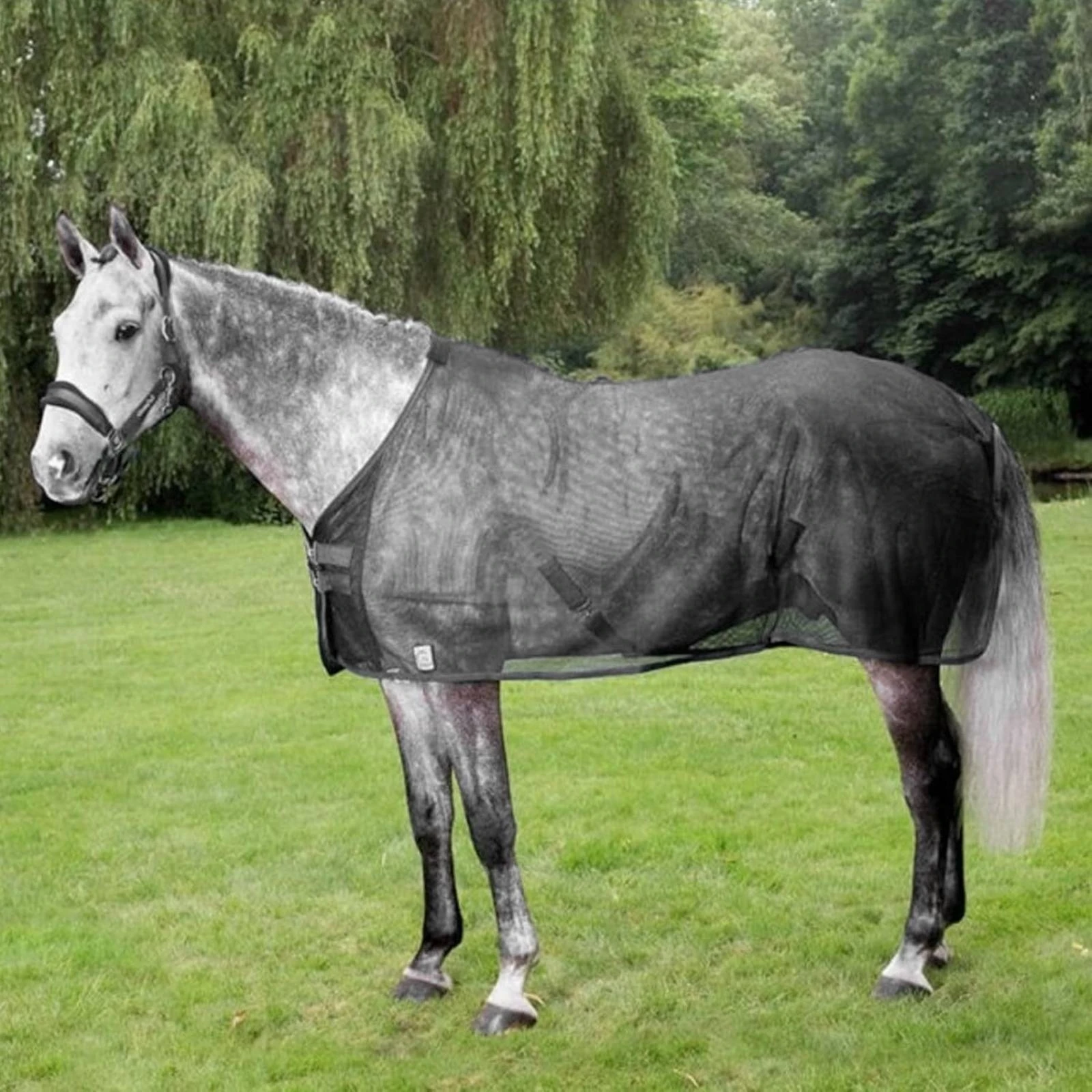 メッシュフライシート-ナイロン製-馬用フライシート-通気性のある馬用カバー-金属製バックル-馬具-軽量
