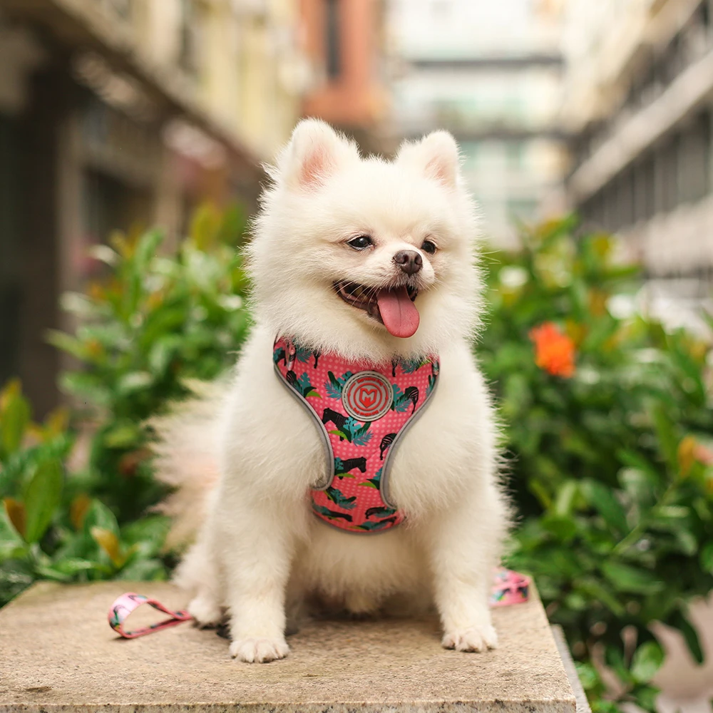 Polyester printed vest-style dog harness small and medium-sized dogs adjustable size comfortable and not tight pet leash