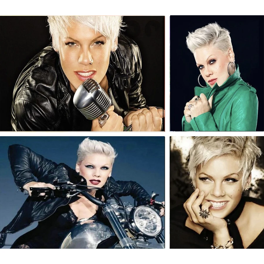 

5D Diy Diamond Painting Pink The Singer Mosaic Portrait Full Square/Round Diamond Embroidery Accessories Cross Stitch Home Decor