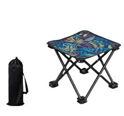 Camping Stool Small Folding Chair Portable Lightweight Stool Seat with Carry Bag for Camping Hunting Fishing