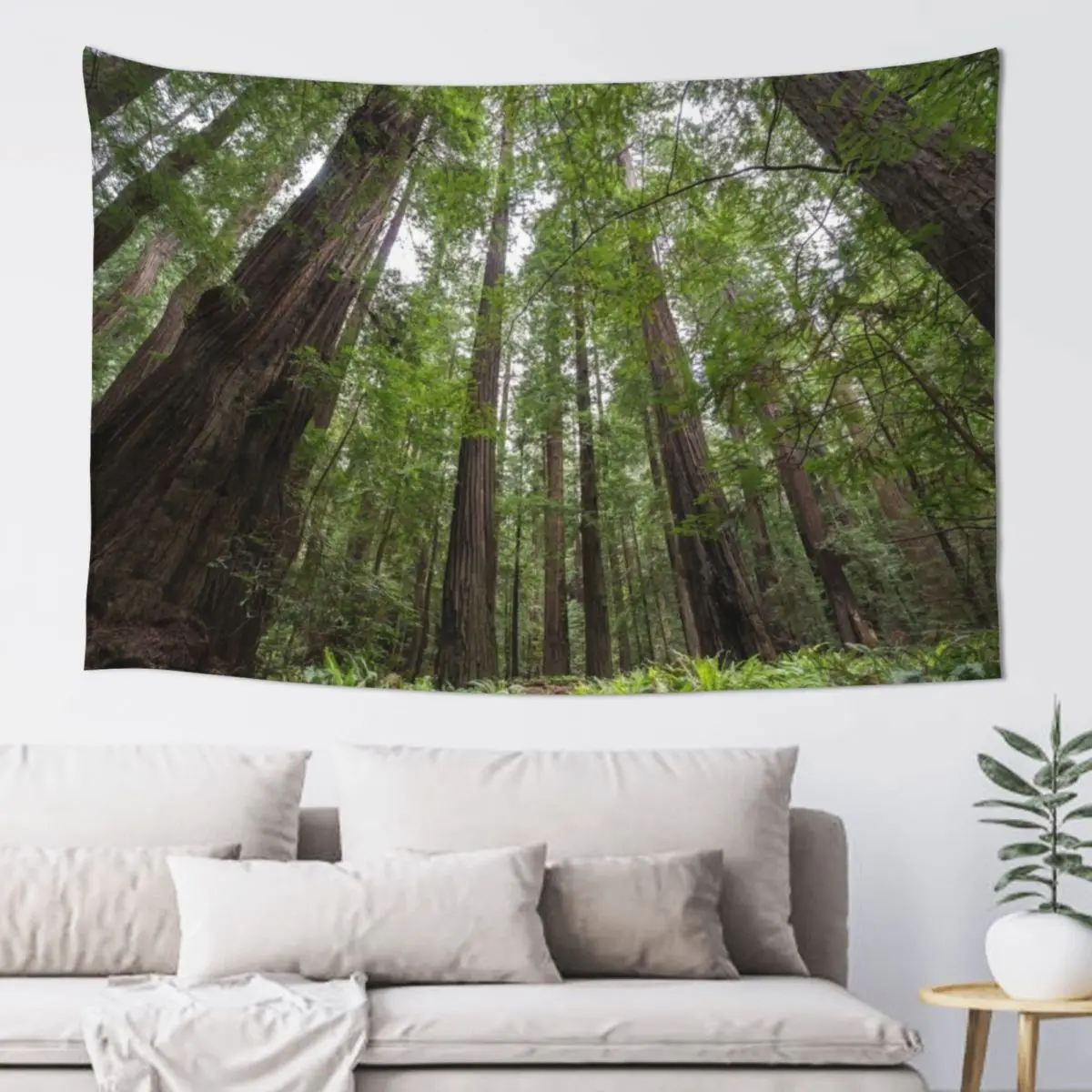 Redwoods Tapestry Bedrooms Decorations Outdoor Decoration Tapestry