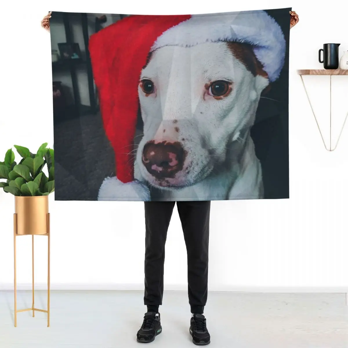 Pitbull Santa Hat Throw Blanket Warm Flannel Blanket for Couch Chair Bedroom