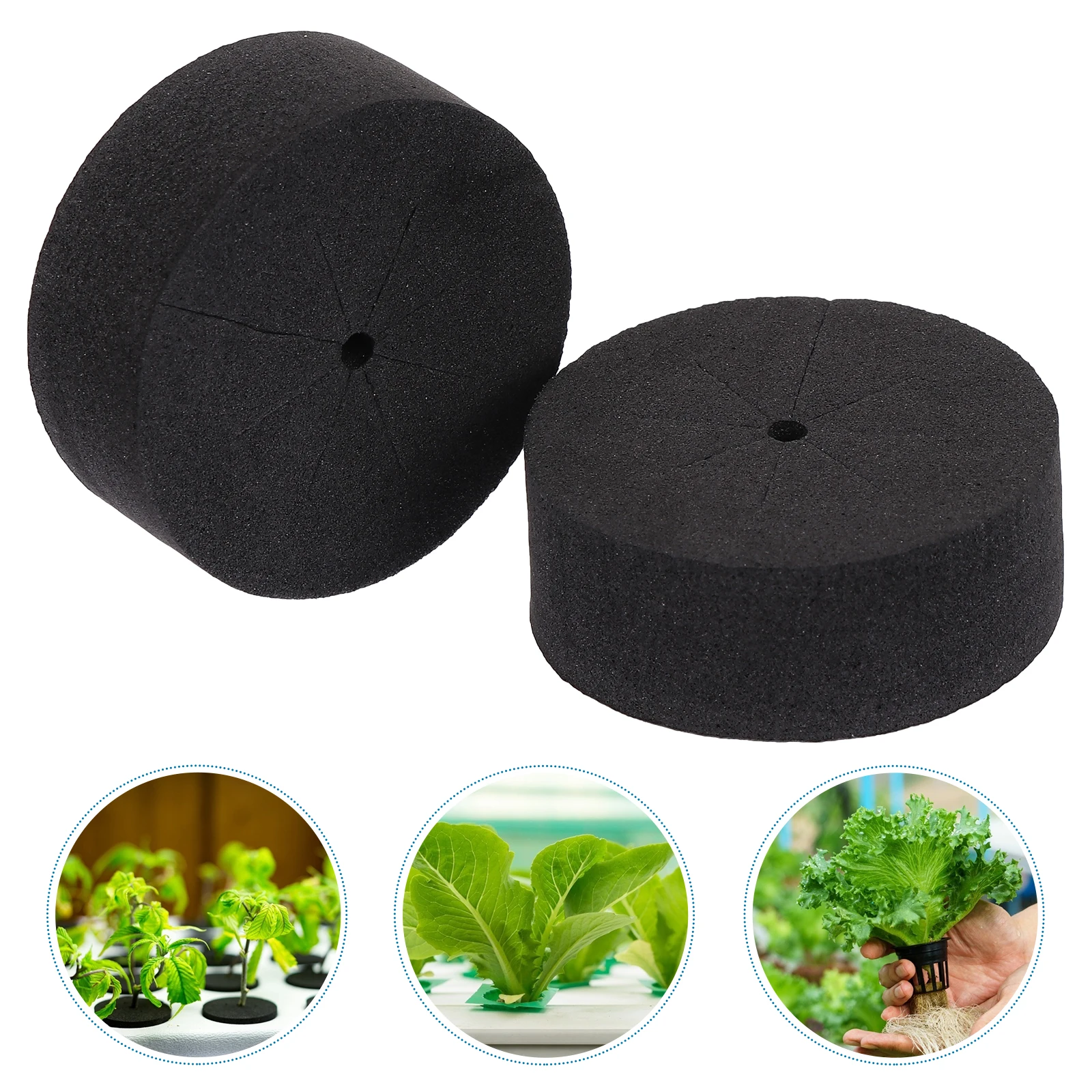 

30 pcs Water Culture Planting Foams Soilless Cultivation Eva Blocks Nutrient-Rich Lightweight Gardening Supplies For Home