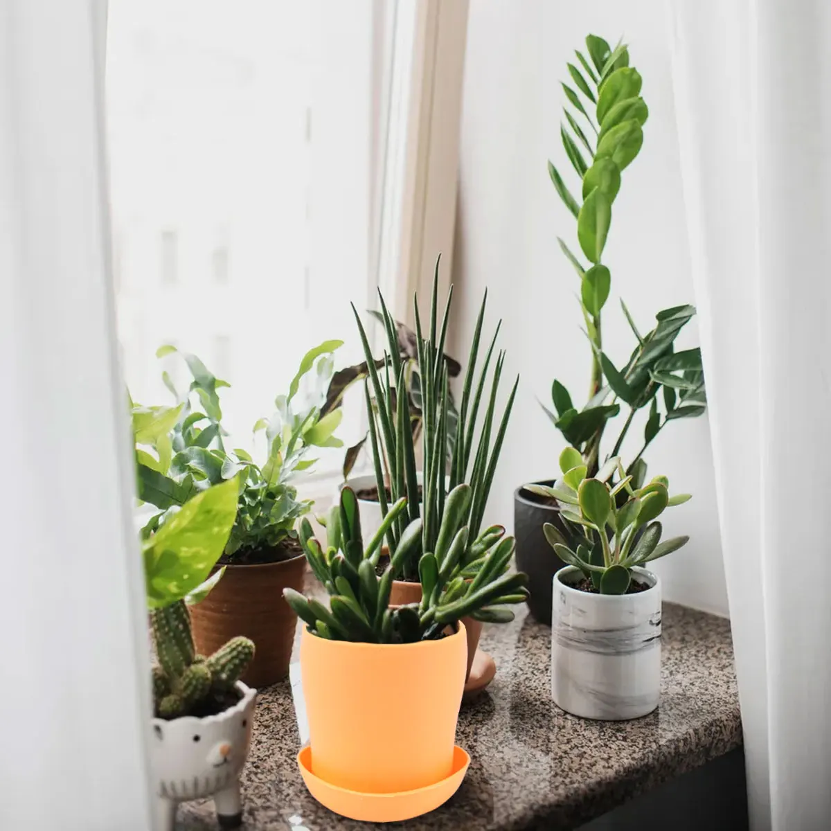 

8 Pcs Resin Plastic Flower Pot with Tray Bonsai Container for Garden Succulents Planting Pots Indoor Plants