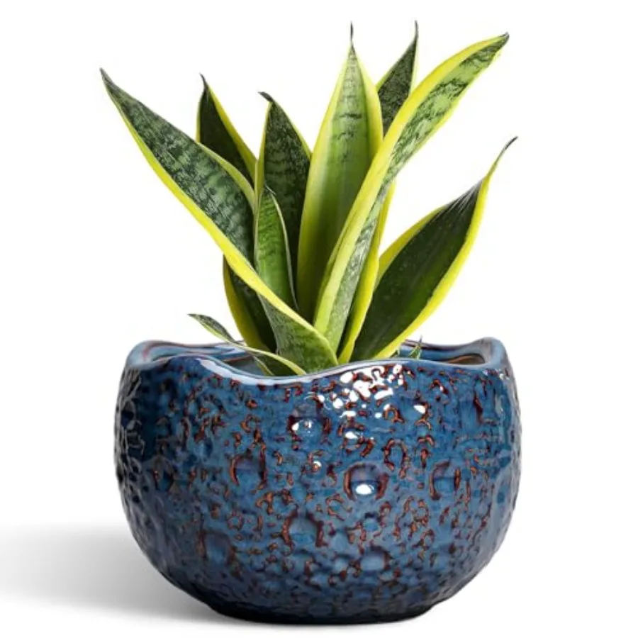 8 Ch Plant Pot - Ce…