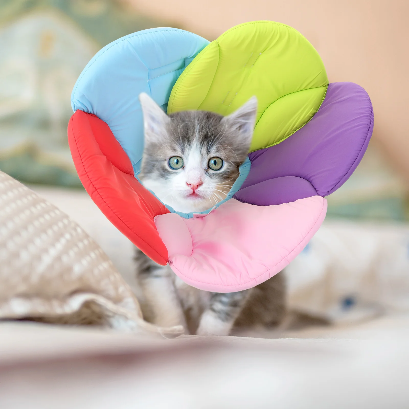 طوق حماية للحيوانات الأليفة بتصميم الزهور، مخروط استعادة خفيف الوزن للكلاب بعد الجراحة، طوق كلب مضاد لللعق وشفاء الجروح