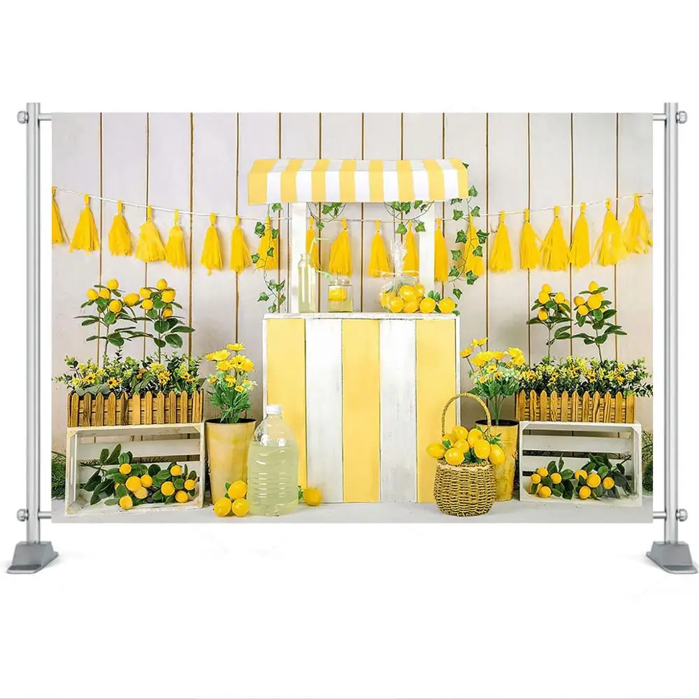 Mocsicka Lemonade Cake Smash Backdrop Lemonade Stand Birthday Party Decor Summer Lemonade Girl Artistic Photo Background