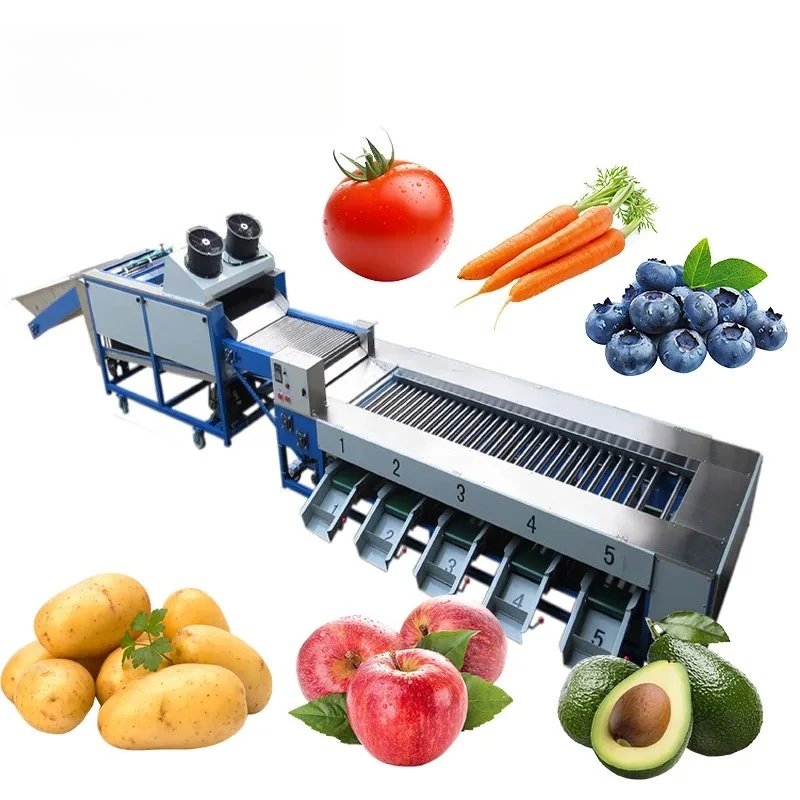 Fruit And Vegetable Waxing And Grading Machine Tomato Potato Carrot Sorting Machine