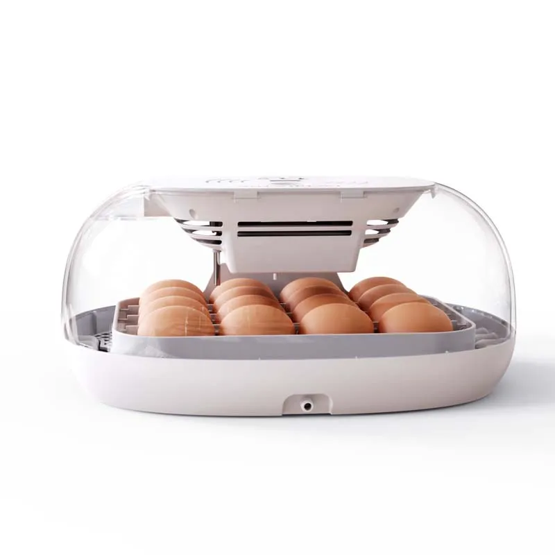 

New Small Fully Automatic Chicken Egg Incubator Bird Duck School Ostrich Sales Pcs Goose Tray Cheap Incubator