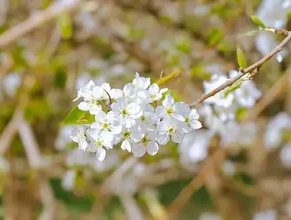 

Алюминиевое раллийное колесо для Tamiya TA02S Lancia TA02 TA07 TA02S TA02SW XV01 TT-02 Type-S HPI 4WD 1:10 RC Drift Racing Cars