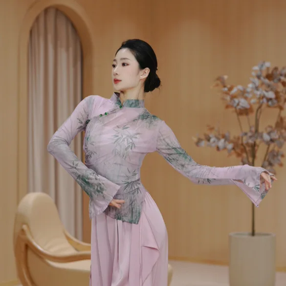 

Chinese dance adult tight classical dance elegant body rhyme dress gauze Chinese style