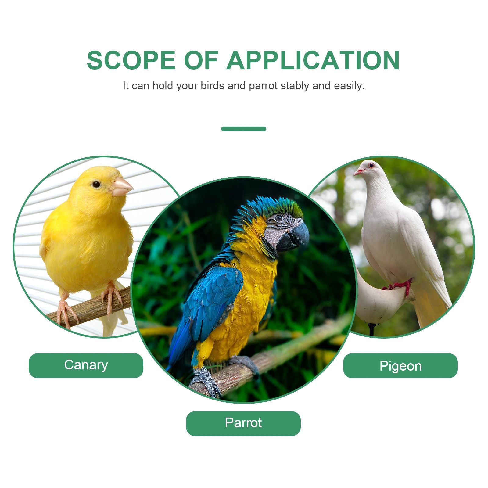 

Parrot Nest Birds Nest Birds Supplies Parrot Supplies Birds Living Nest Parrot Living Nest