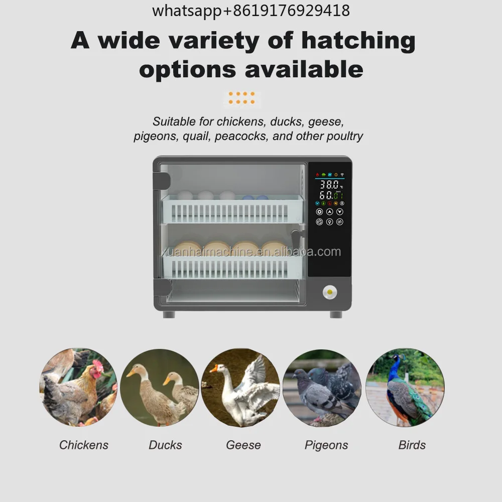 Automatic Intelligent Touch 24-100 Capacity Egg Incubators Roller Type Chicken Quail Egg Hatching Machine for Household AC 220V