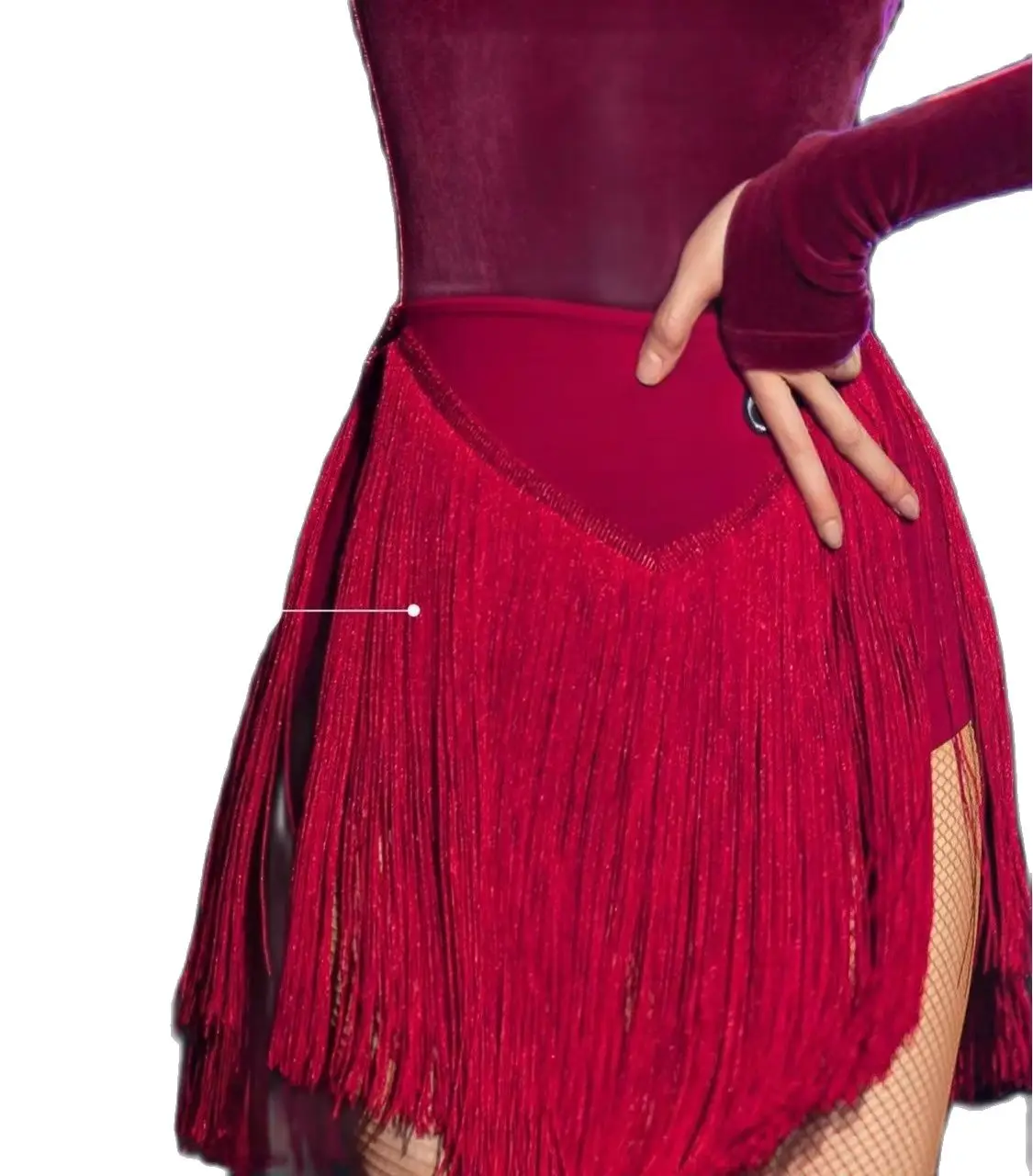 Latin Dance Skirt Women Cha Cha Dance Costume Dense Tassel Rumba Samba Performance Wear Adult Fringe Skirt Latin Dress