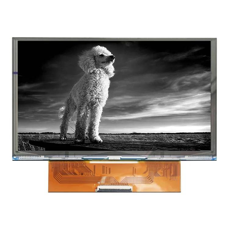 Monochrome 7.6 Inch Lcd Display 4k 4098*2560 High Resolution 50 Pin MIPI Interface Mono IPS Tft Lcd Module