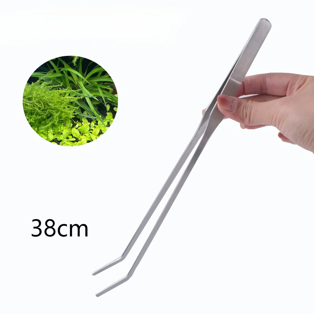 yZ[z38 Z`[gXeX|كsZbgvC[A Aquascape c[Xg[gpqNbvagO