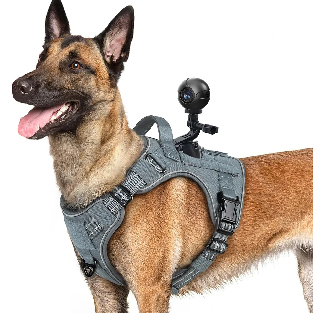 2025 nueva Mini cámara IP Wifi HD visión nocturna WiFi cámara inalámbrica cámara de seguridad vídeo infrarrojo de alta definición grabación de voz remota