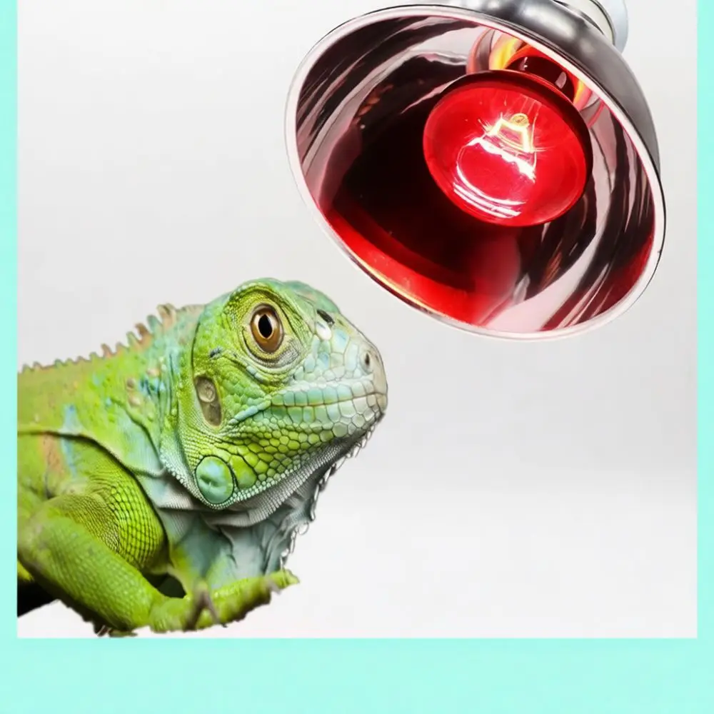 Reptile Dome Reflector For Heat Lamp Holder For Turtle Lizard Terrarium UVA UVB Light Heating Cage Supplies