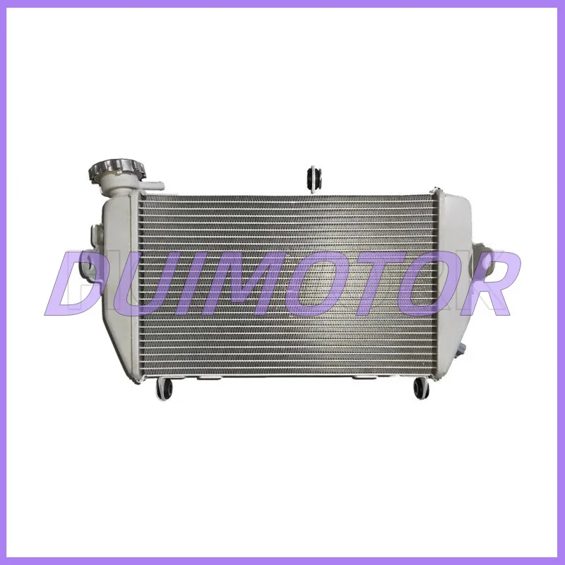 Motorcycle Radiator Assembly Water Tank for Colove Zf300gs 321rr Genuine Parts