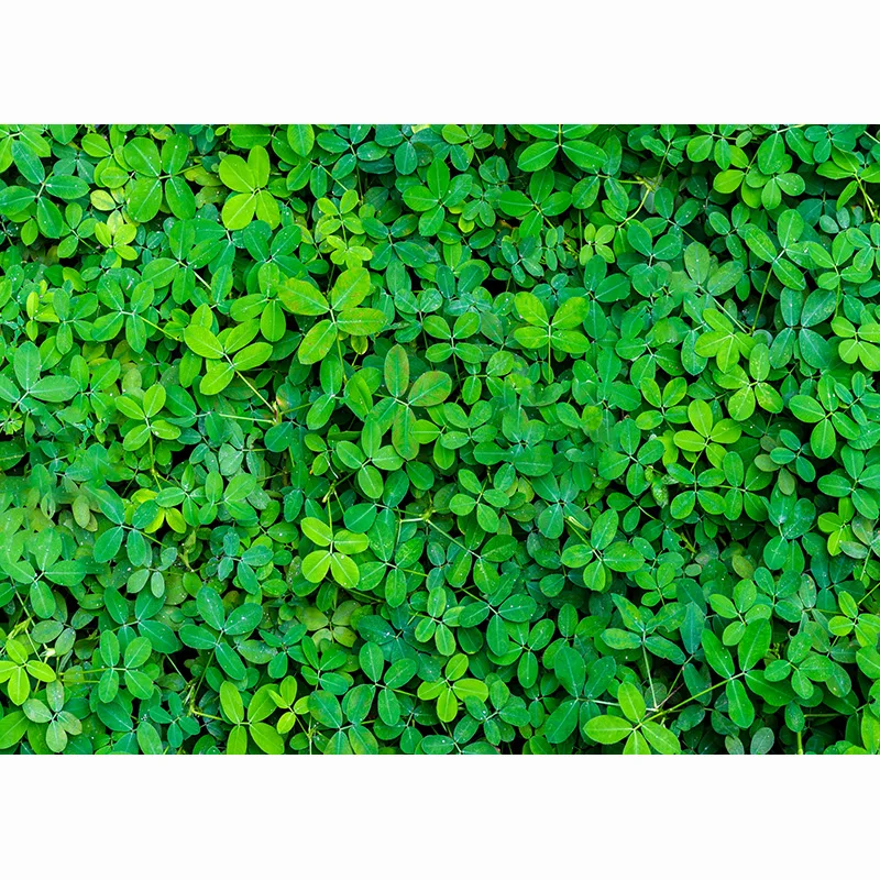 SHENGYONGBAO художественные тканевые фоны для фотосъемки с цветущими цветами Весна День Святого Валентина Декорации для комнаты фотостудии