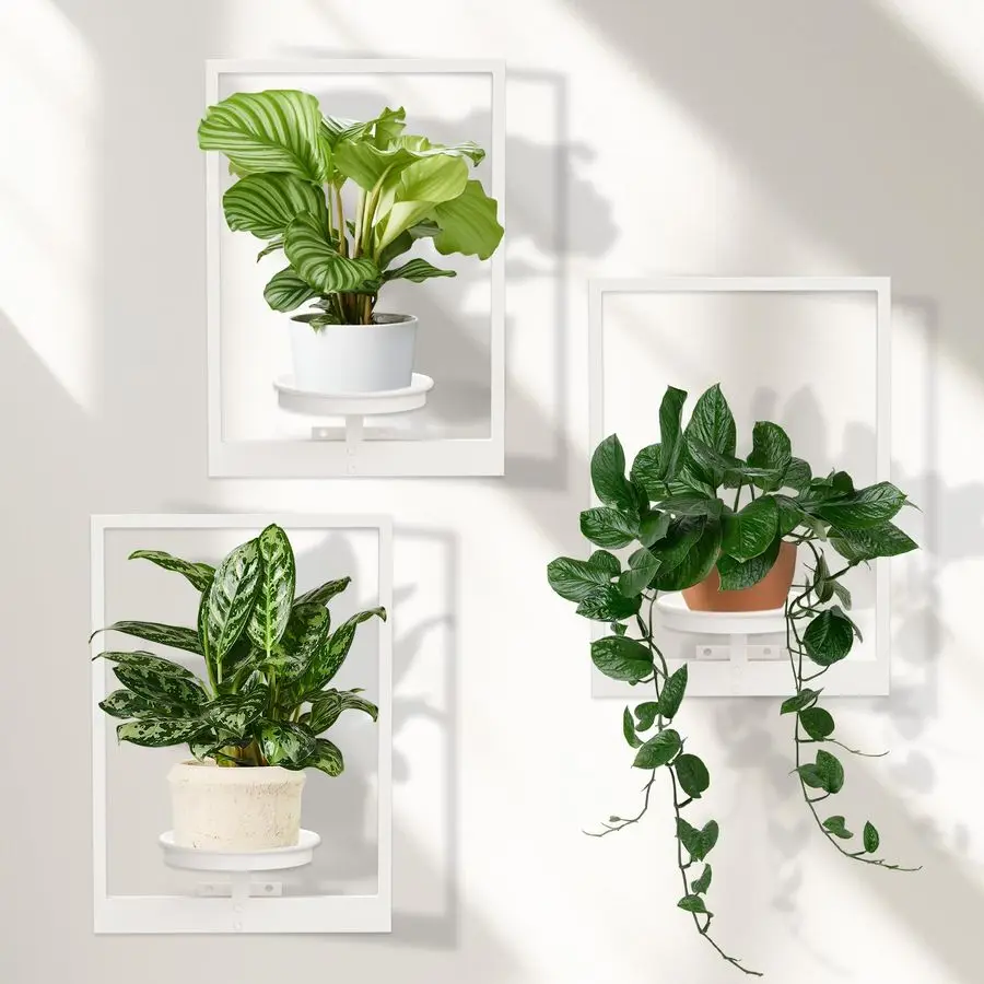 

Настенные кашпо для комнатных растений, белые, металлические, премиум-класса, для больших горшков, для декора внутри и снаружи помещений