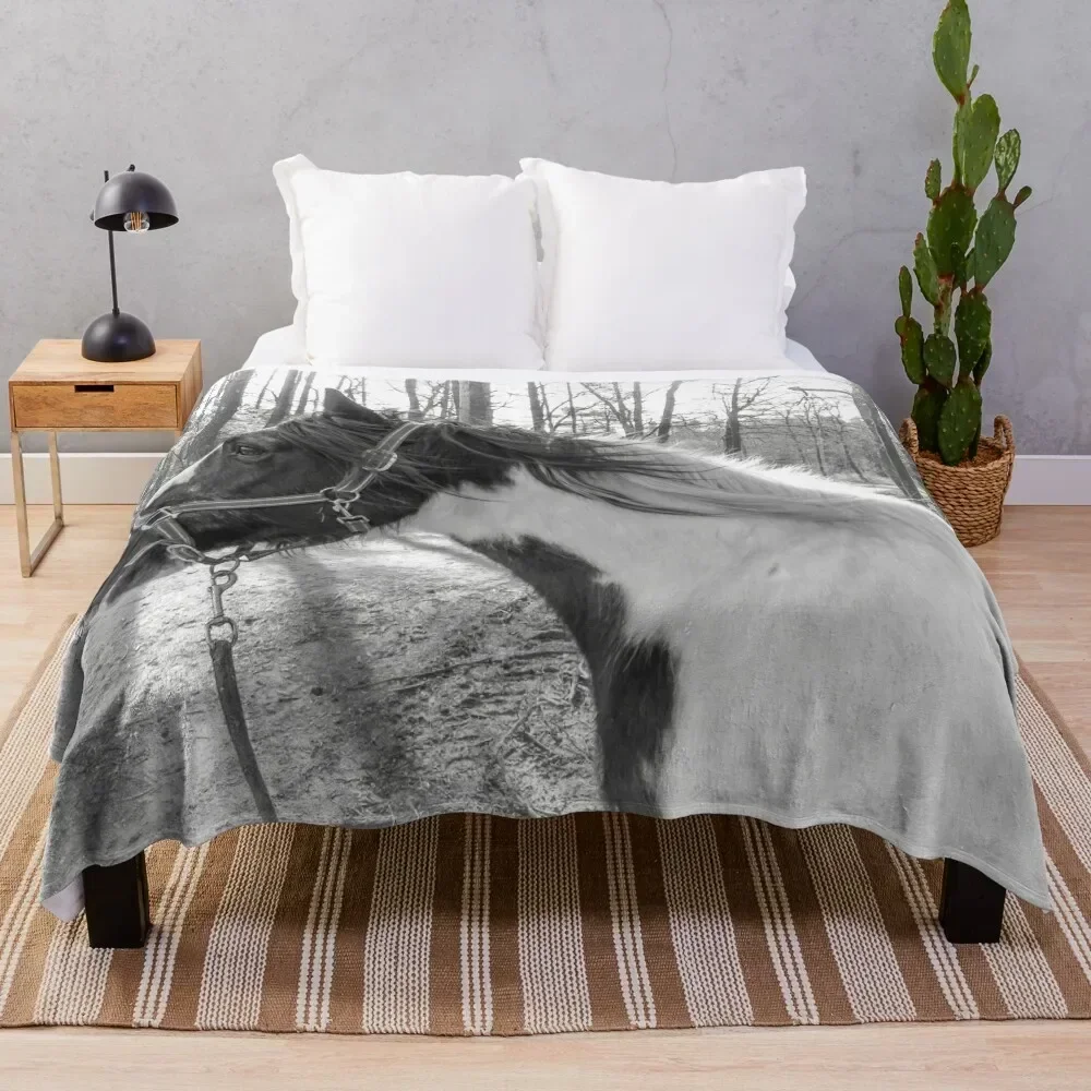 Wind in My Mane Silver Throw Blanket Stain Resistant Cozy Warm Blanket